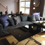 Our Slipcovers Have Gone To The Dogs